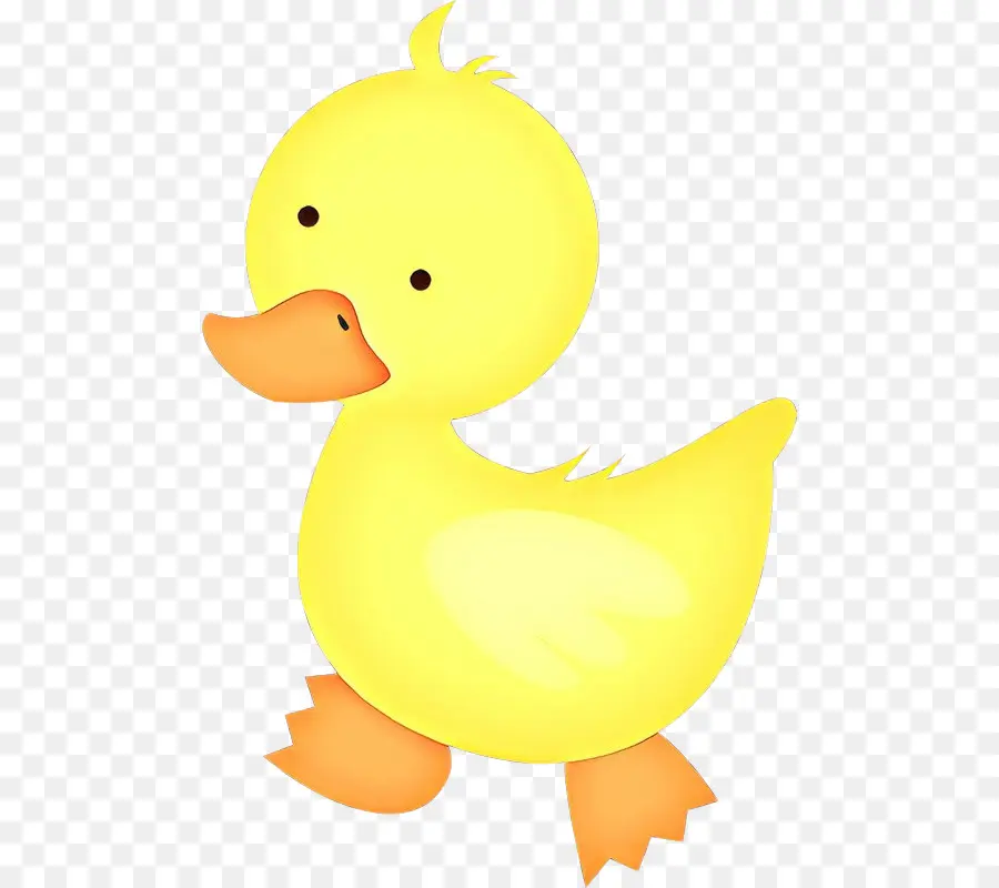 Pato，Los Patos Gansos Y Cisnes PNG