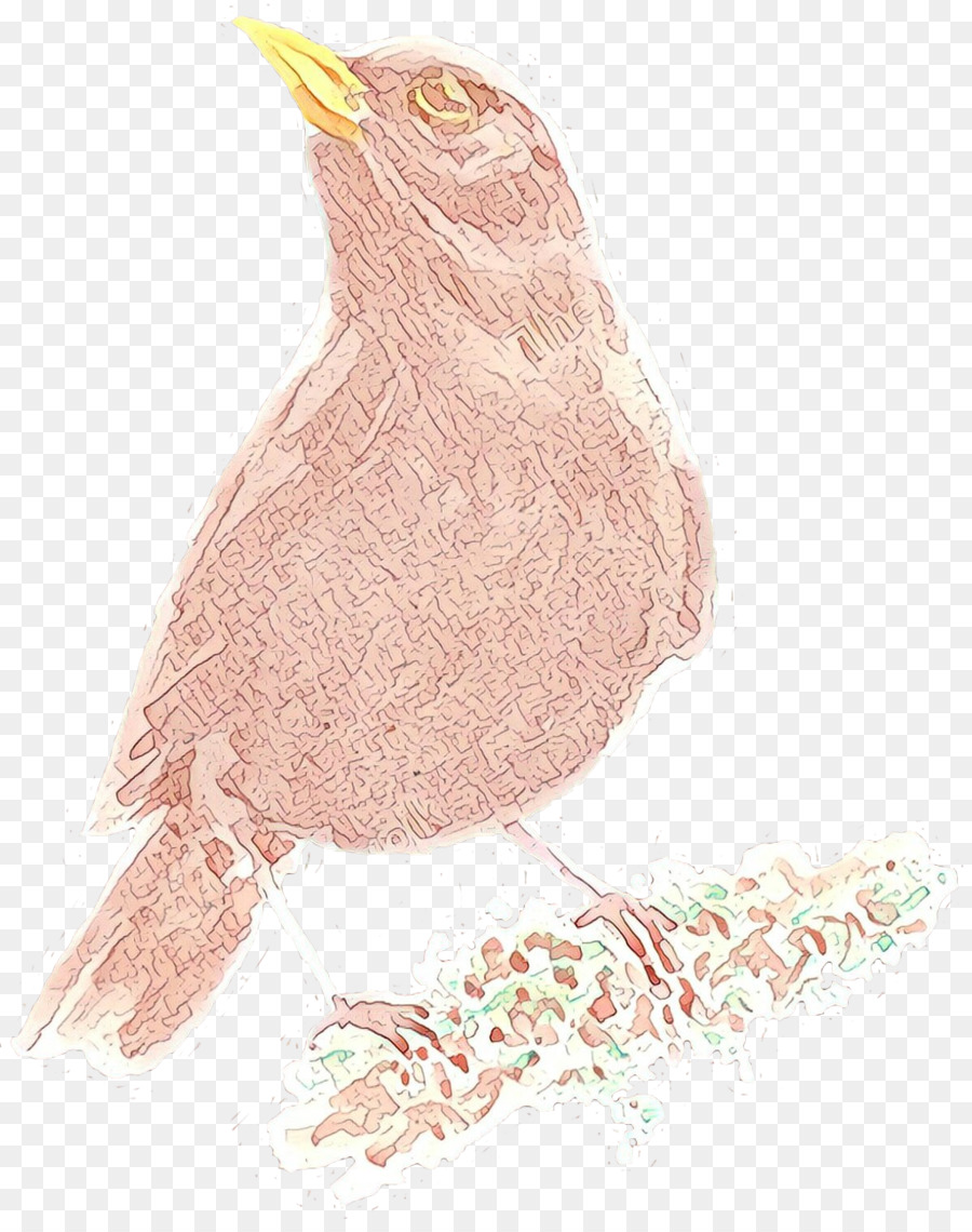 Aves，Ave Voladora PNG