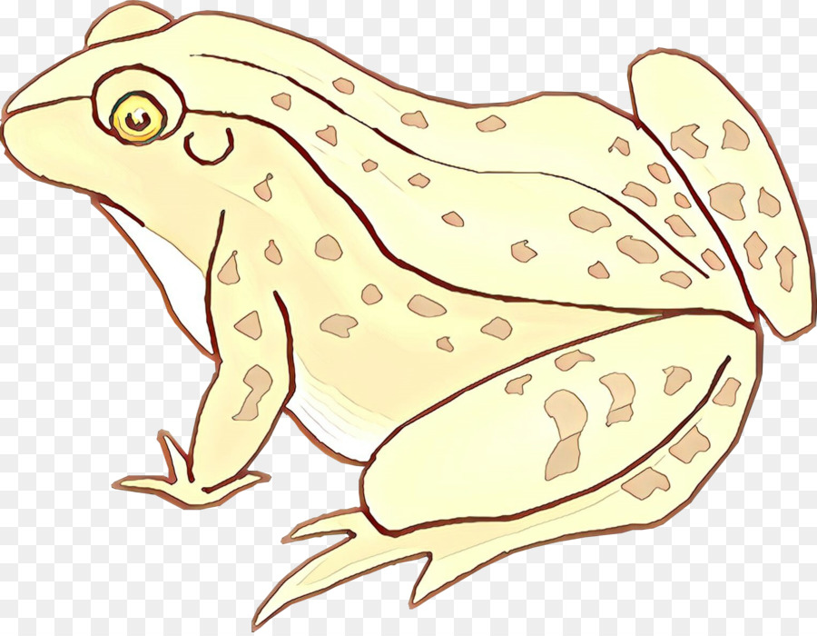 Hyla，Rana De árbol PNG