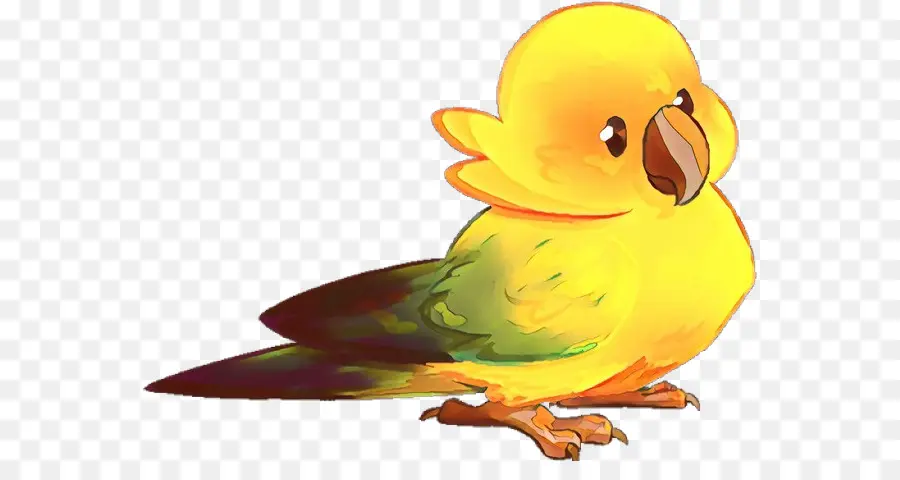 Pájaro Amarillo，Lindo PNG