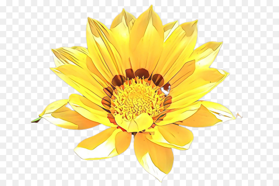 Flor，Amarillo PNG