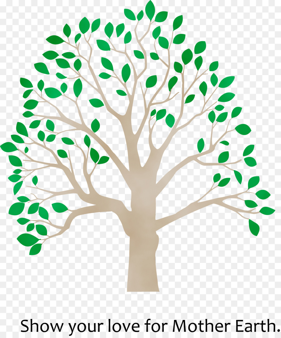 Verde，Árbol PNG