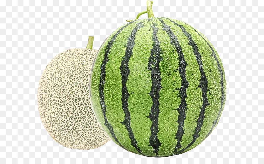 Melón，Pepino Calabaza Y Melón De La Familia PNG