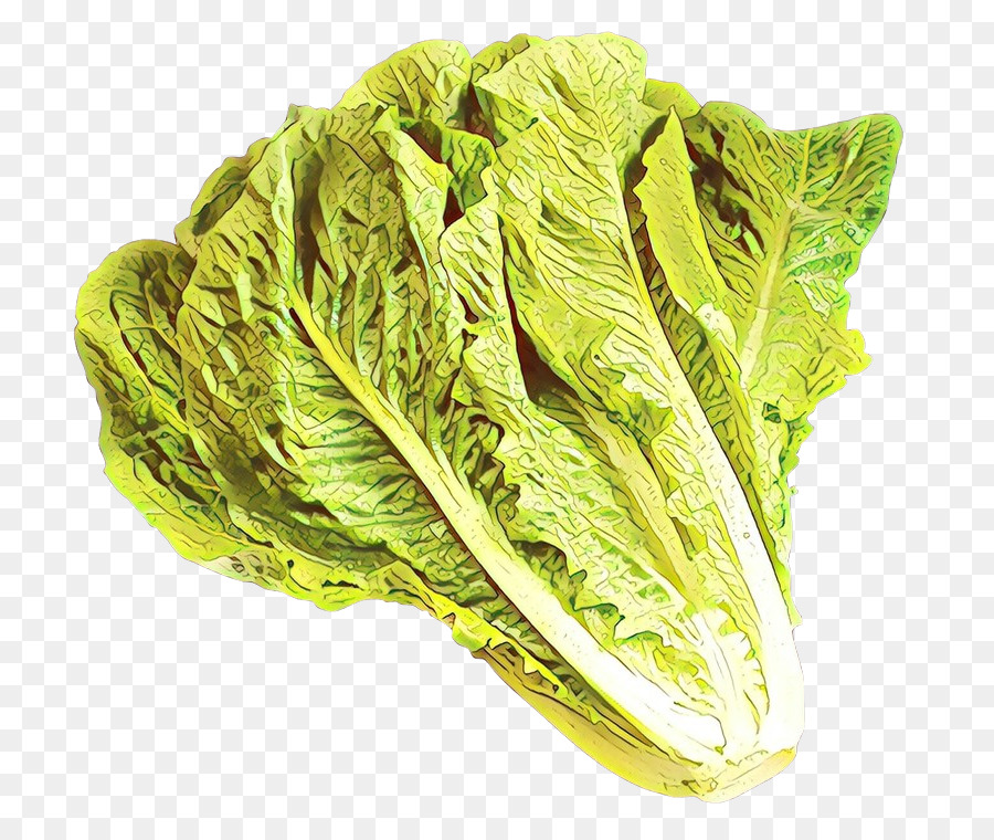 Hoja Vegetal，Vegetal PNG