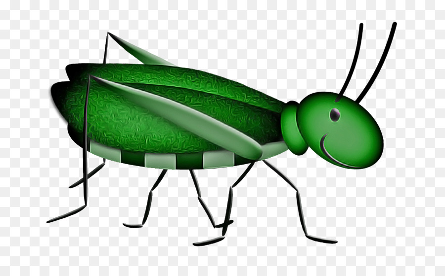 Los Insectos，De Plagas PNG