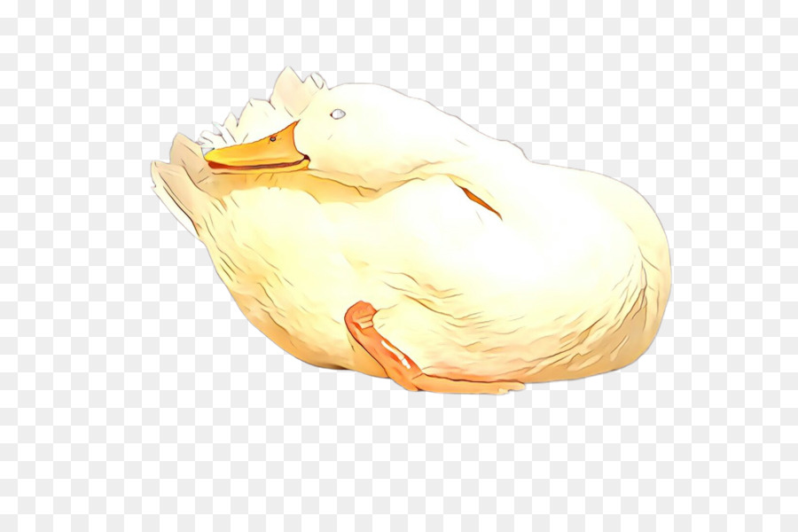 Pato，El Agua De Las Aves PNG