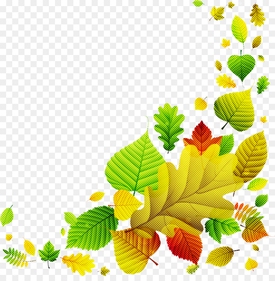 Hojas De Otoño，Caer PNG