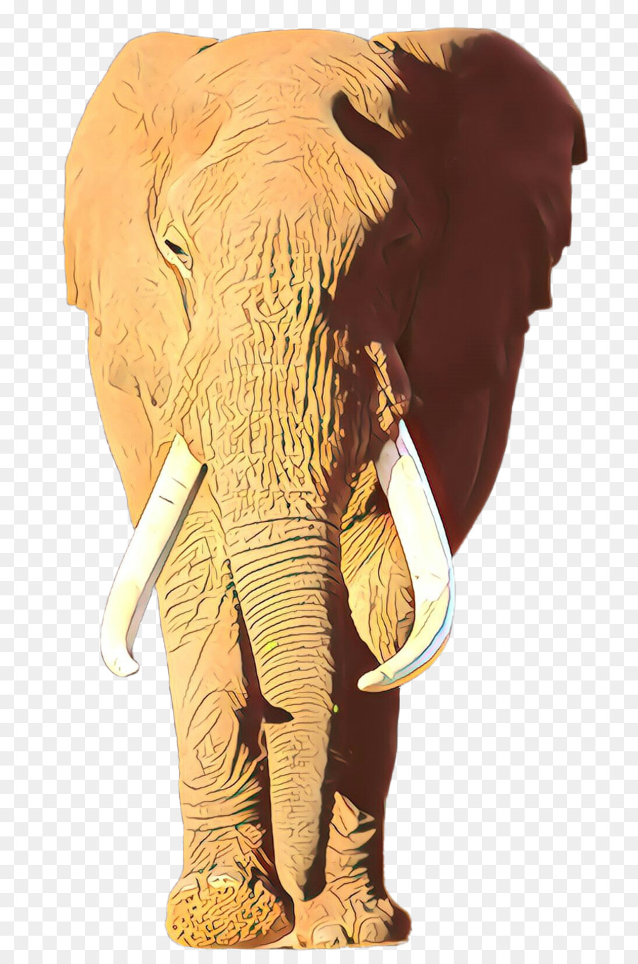 Elefante，El Elefante Africano PNG