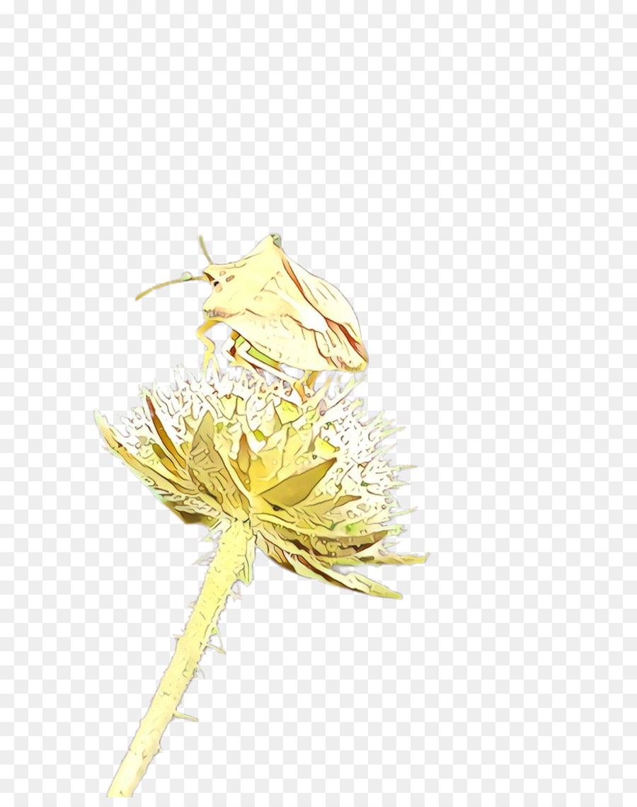 Diente De León，Amarillo PNG