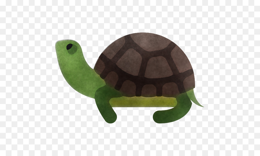 Tortuga，Verde PNG