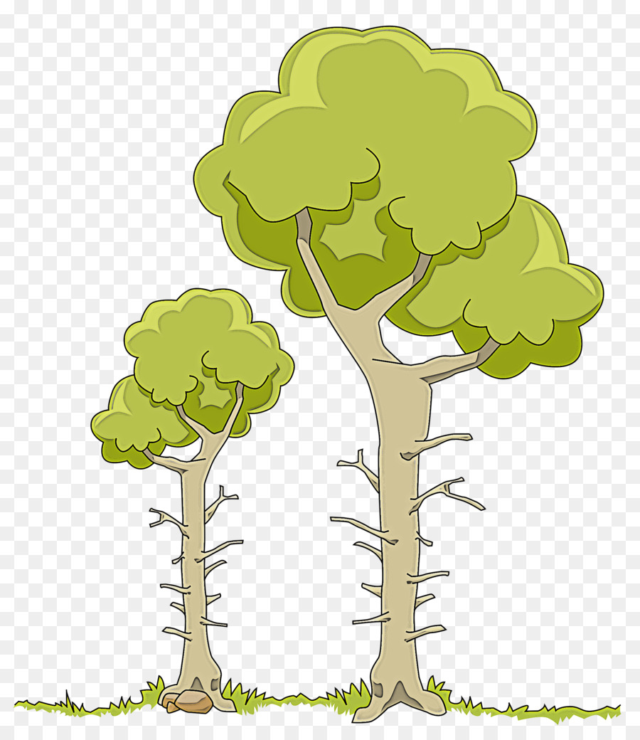 árboles Verdes，Bosque PNG