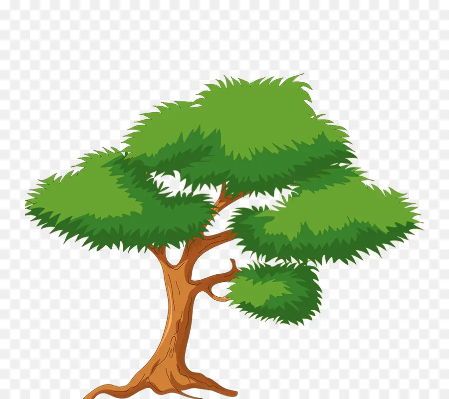 Árbol，Naturaleza PNG