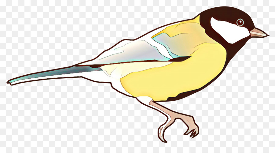 Aves，Pico PNG