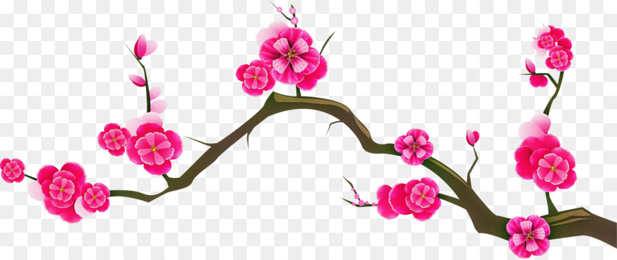 Rosa，Flor PNG