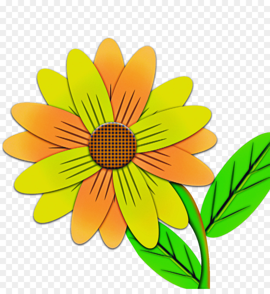 Amarillo，Flor PNG