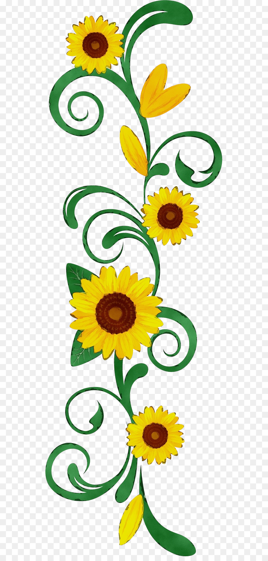 Girasol，Flor PNG