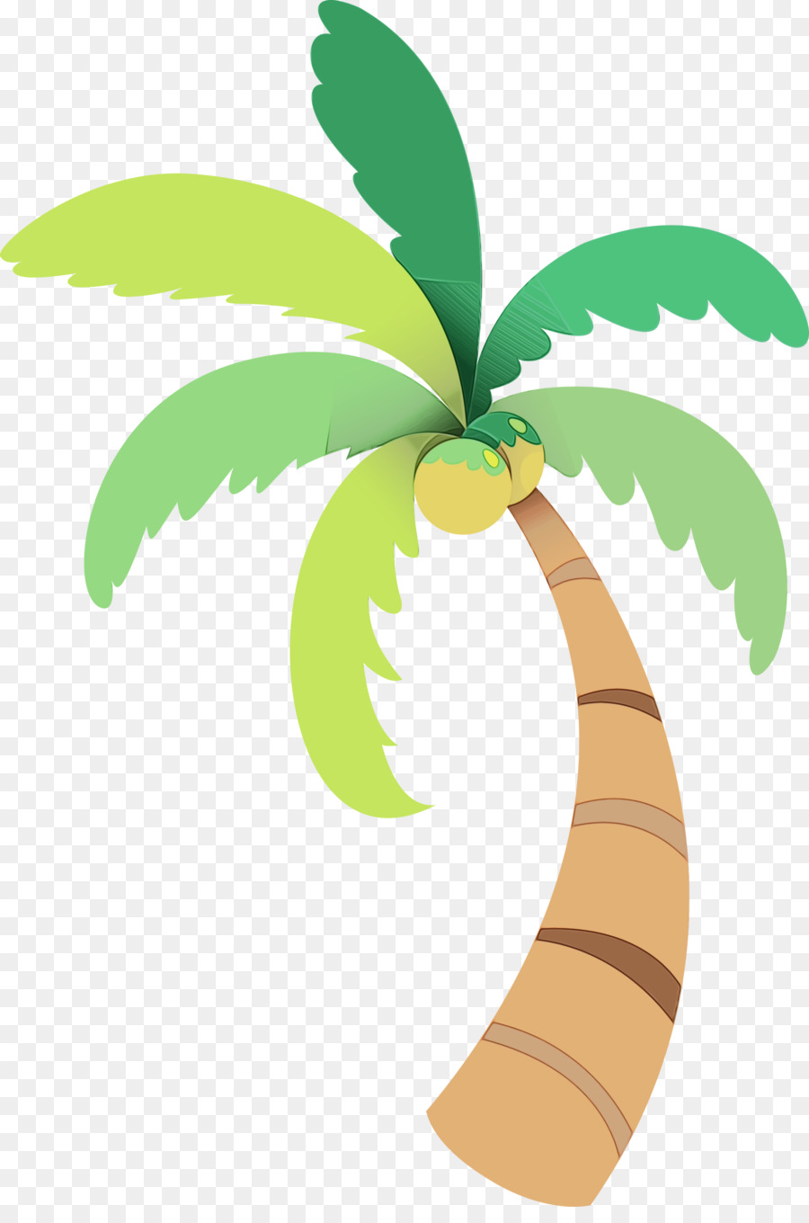 Palmera，Verde PNG