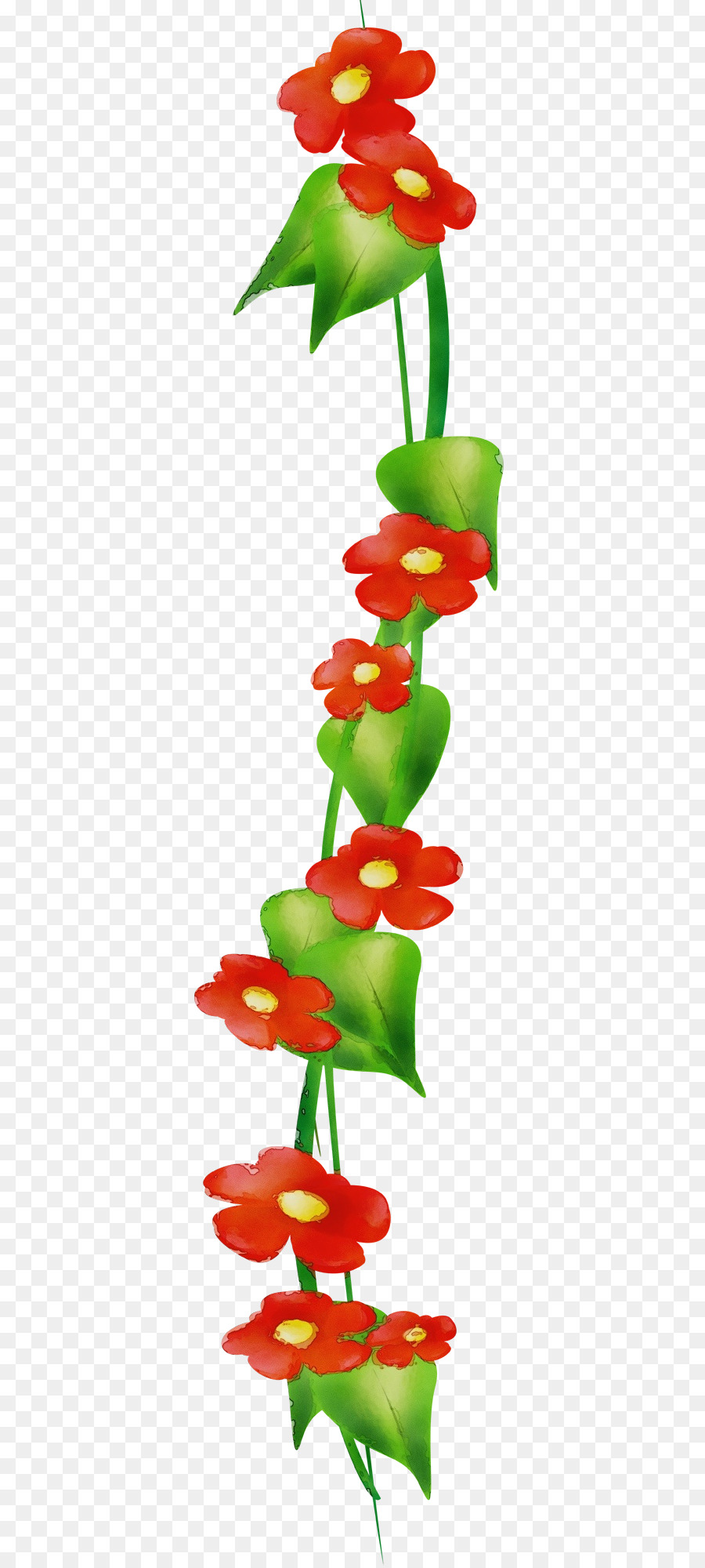 Flor，Planta PNG