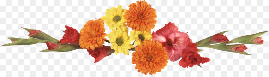 Tagetes，Las Flores Cortadas PNG