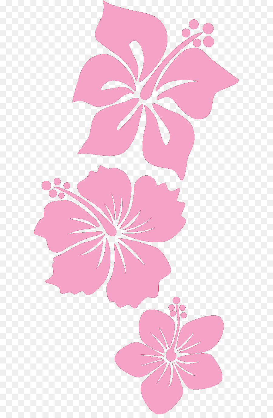 Flores Rosadas，Hibisco PNG