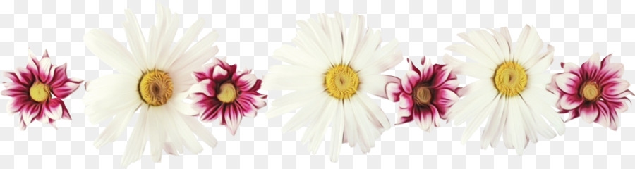 Las Flores Cortadas，Flor PNG