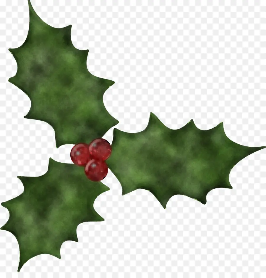 Hojas Y Bayas De Acebo，Navidad PNG