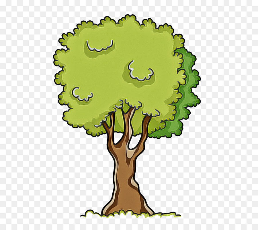 Árbol，Hojas PNG