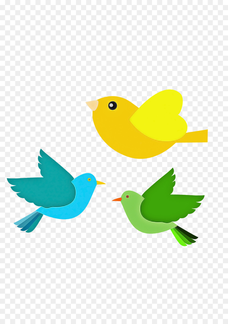 Aves，Amarillo PNG