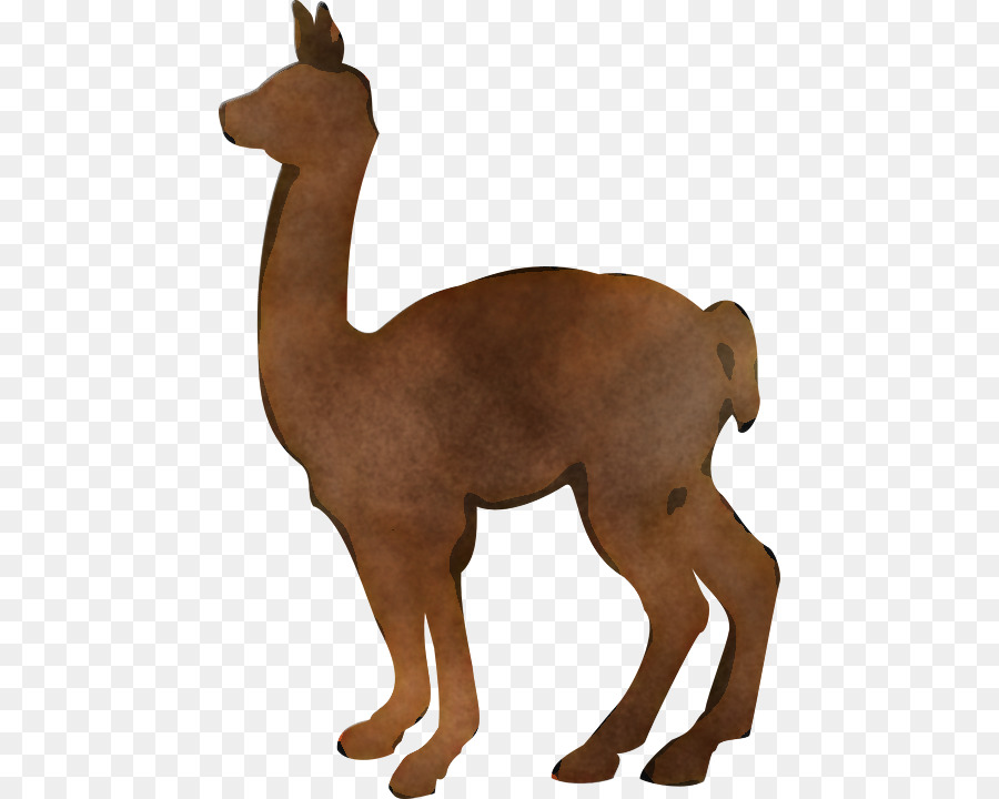 Animal Figura，Llama PNG