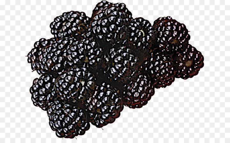 Berry，Planta PNG