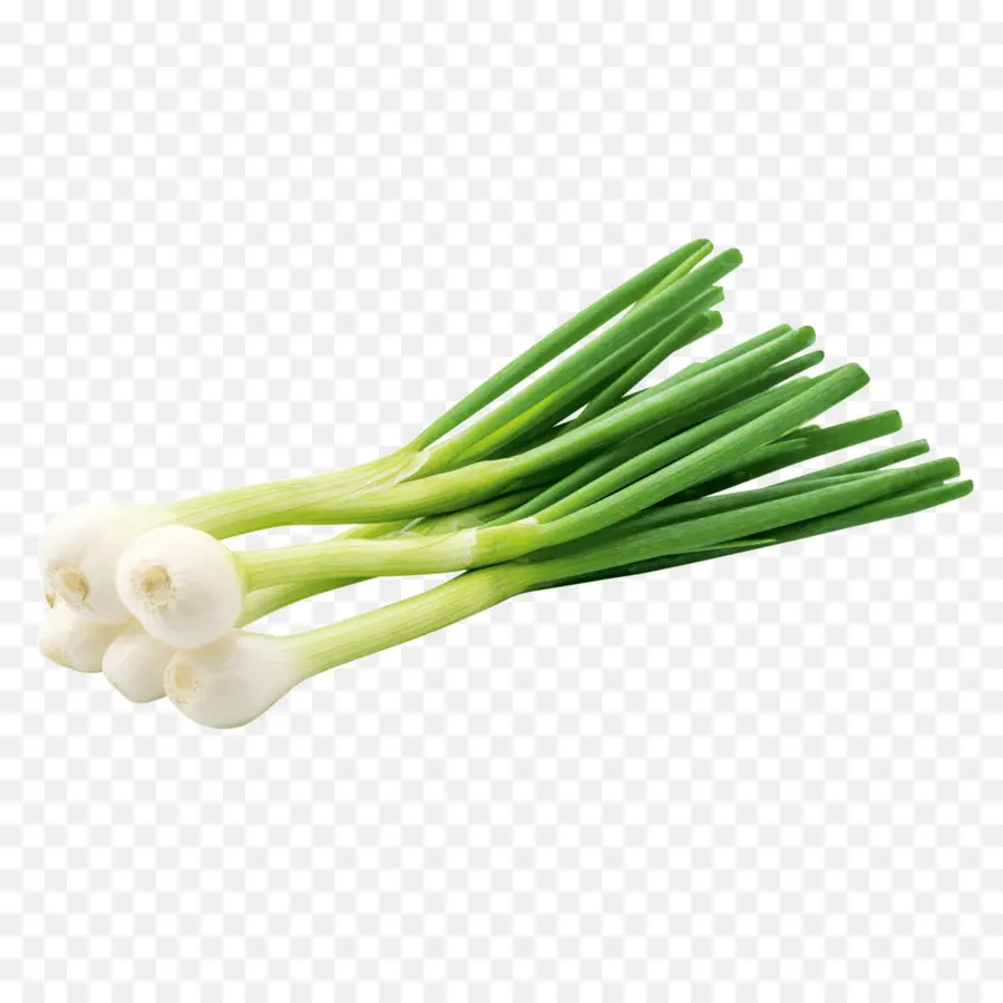 Vegetal，Cebolla De Gales PNG