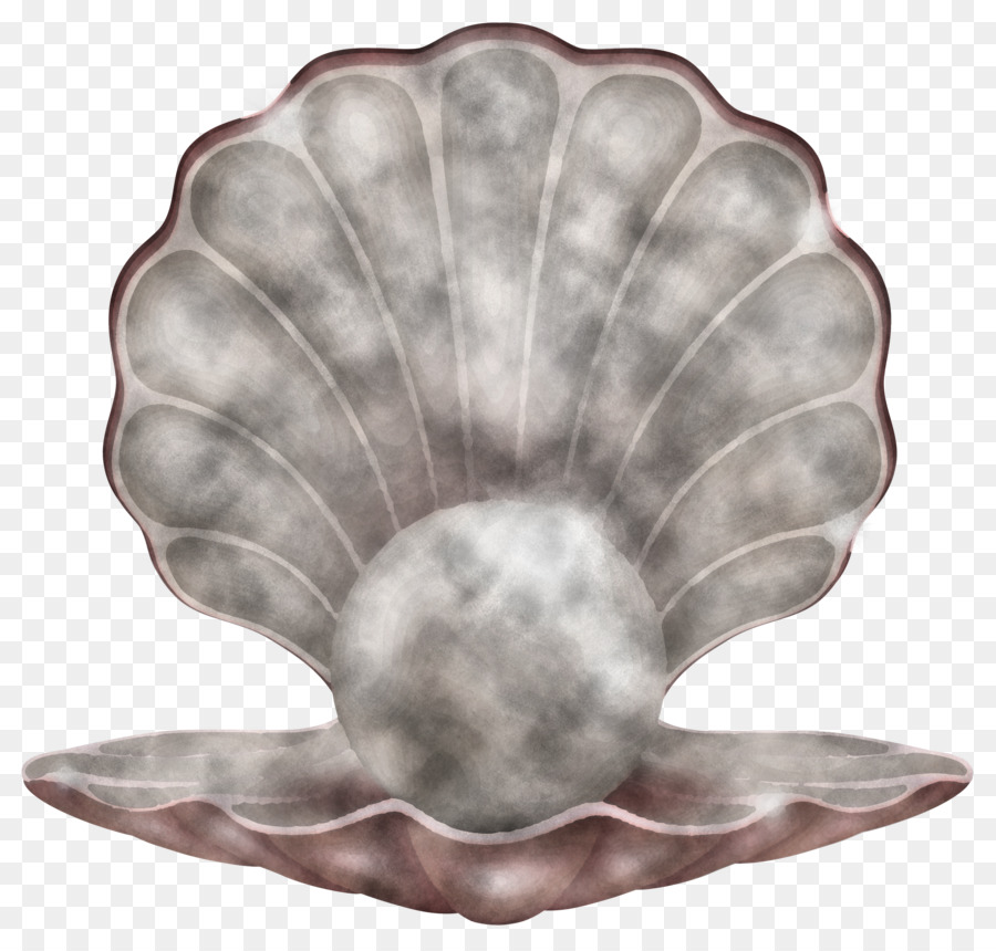 Concha Abierta，Perlas PNG