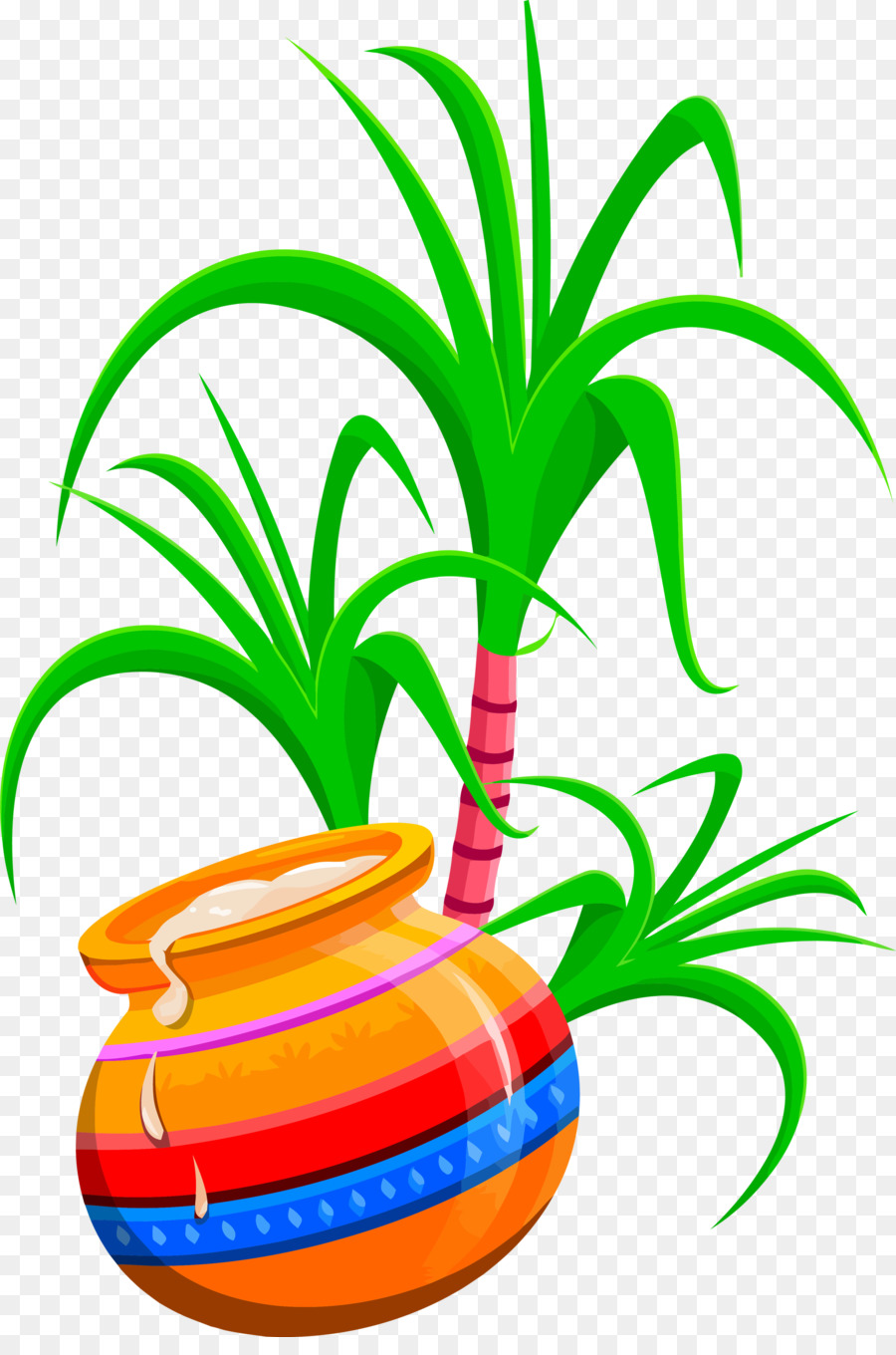 Planta De Interior，Maceta PNG