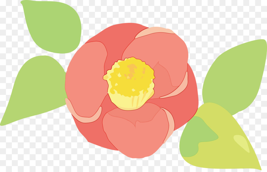 Rosa，Tulip PNG