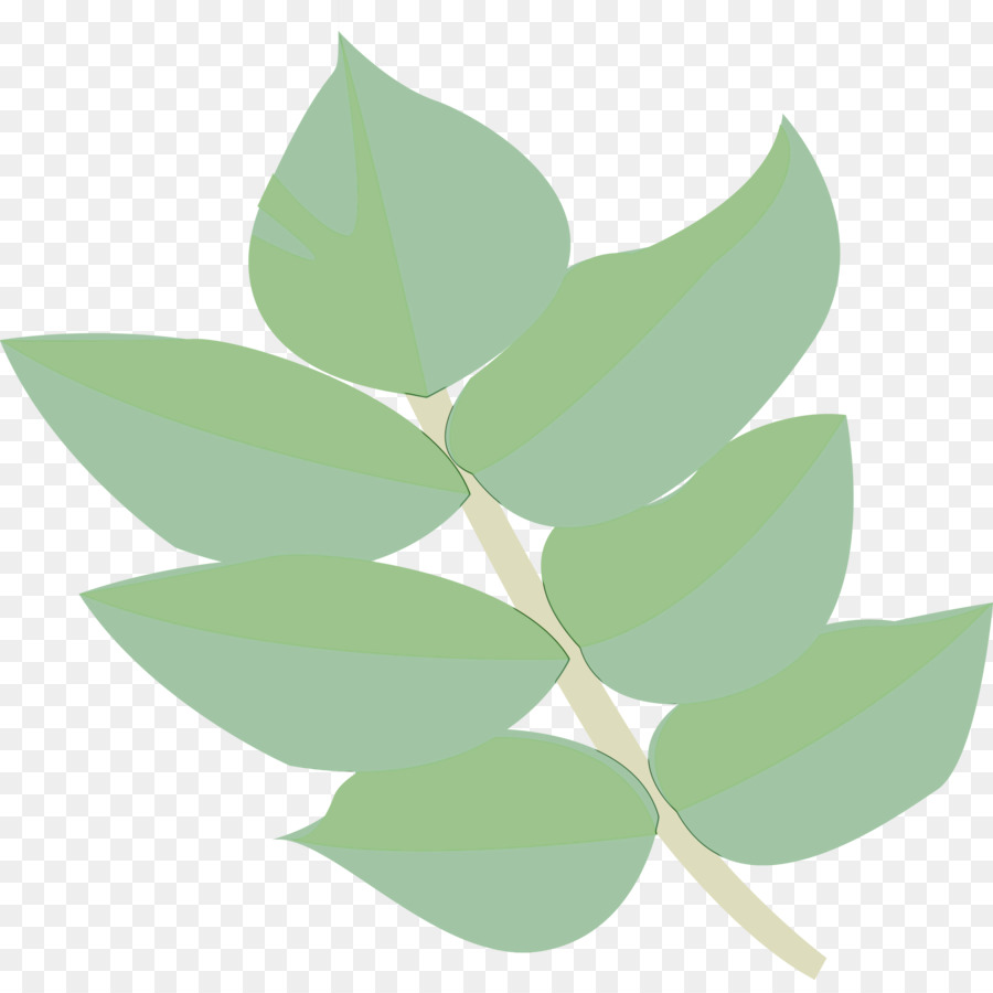 Hojas Verdes，Planta PNG