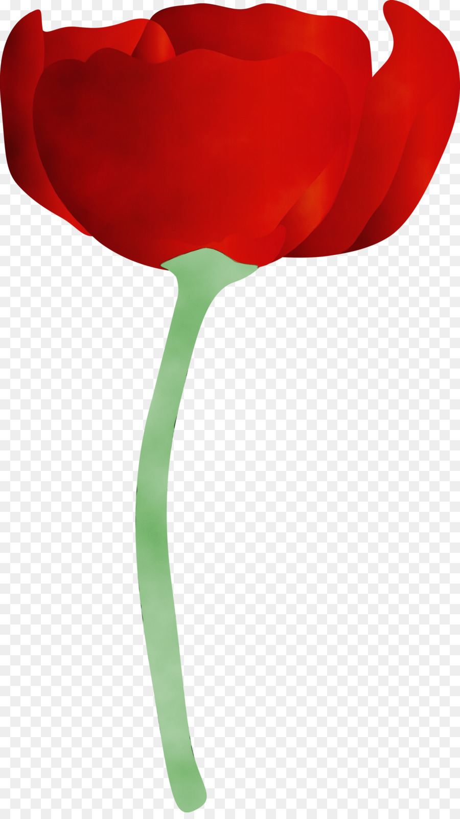 Flor，Rojo PNG