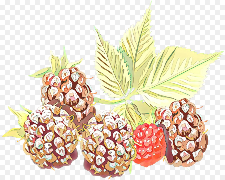 Alimentos Naturales，La Fruta PNG