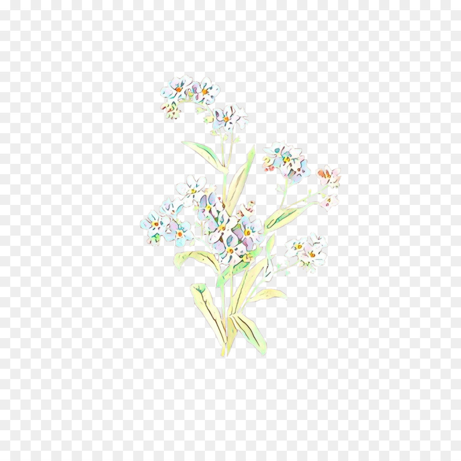 Blanco，Flor PNG