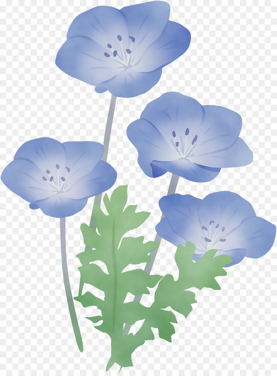 Flor，Azul PNG