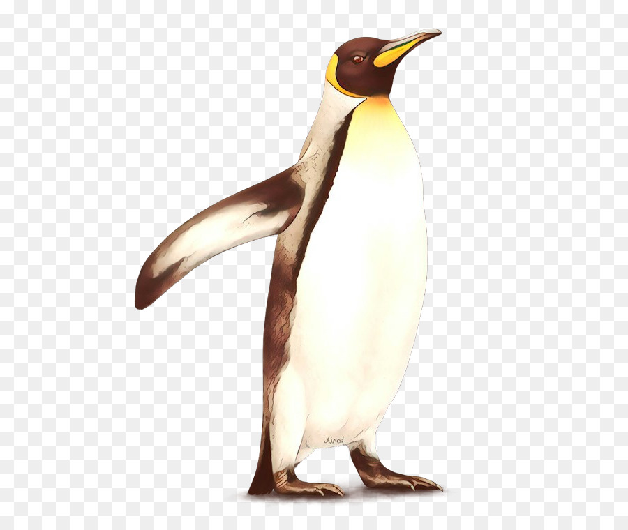 Aves，Pingüino PNG