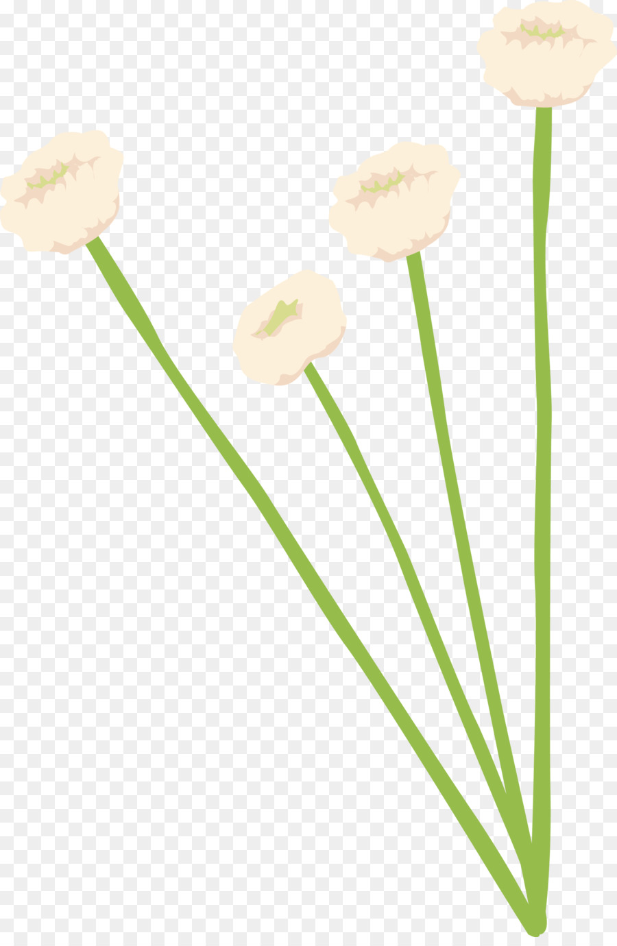 Flor，Amarillo PNG