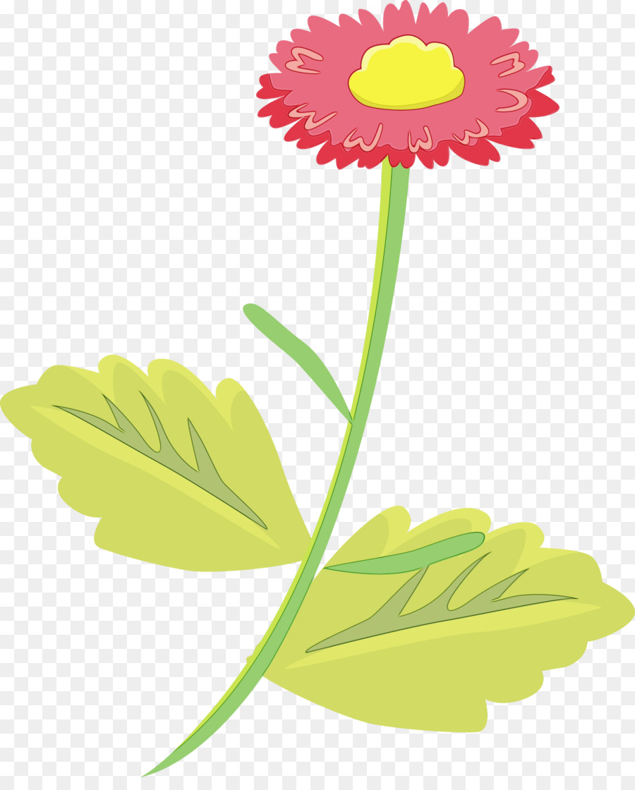 Diente De León，Flor PNG