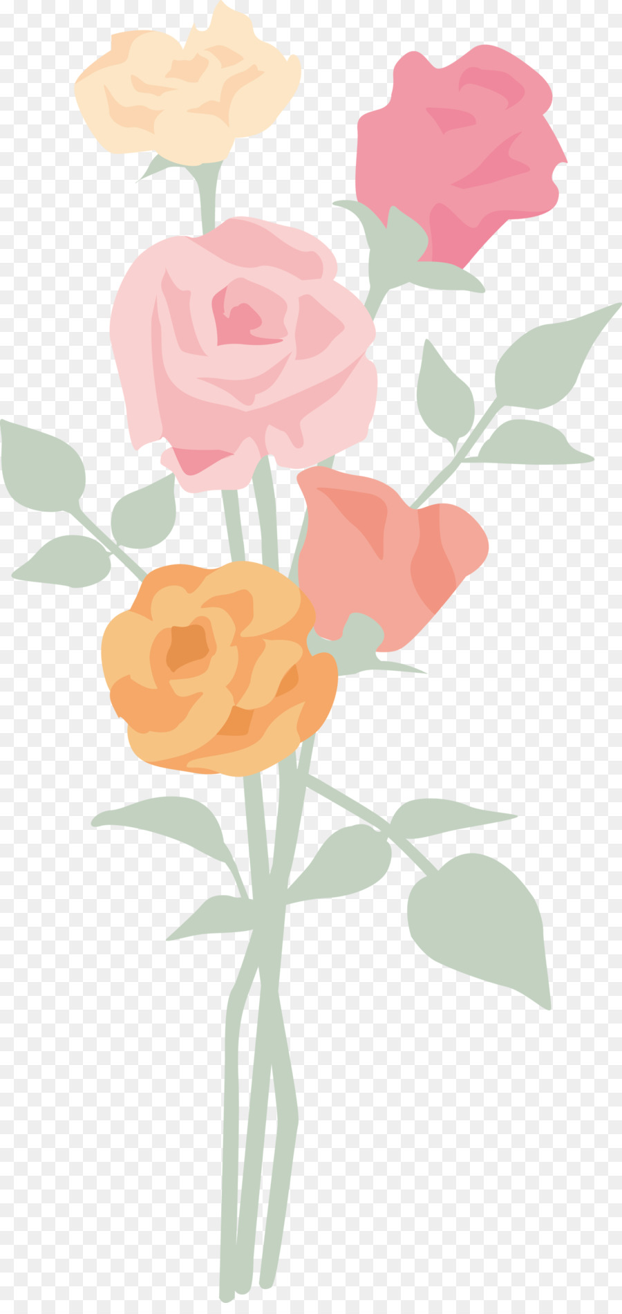 Rosa，Flor PNG