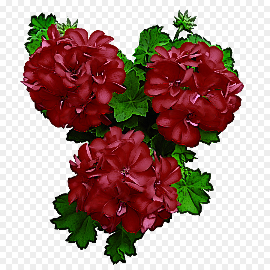 Flor，Rojo PNG