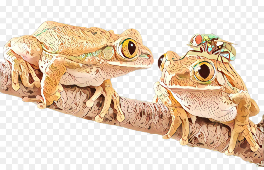 Ranas，Rama PNG