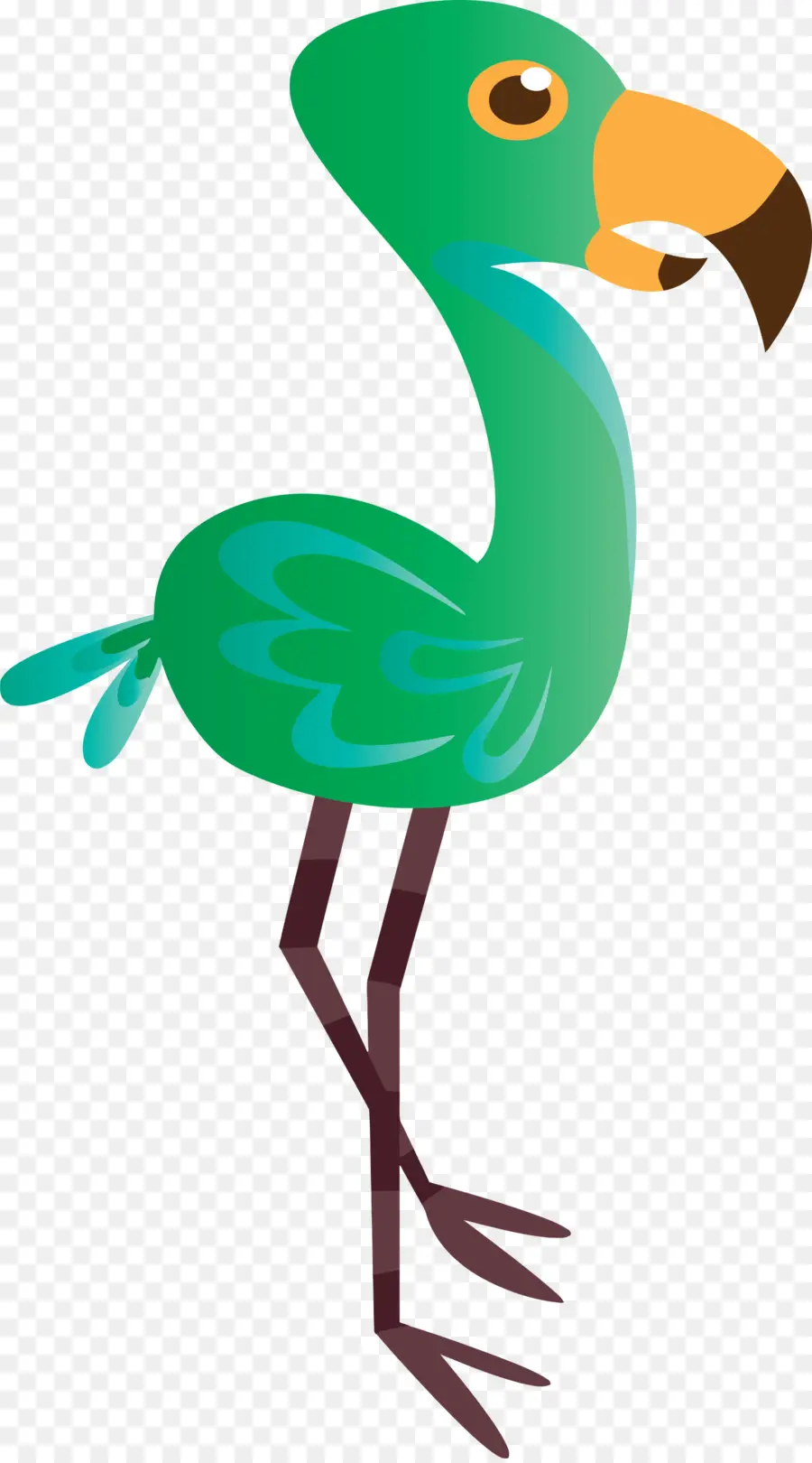 Aves，Verde PNG