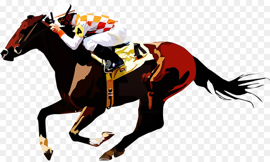 Caballo，Deportes De Animales PNG