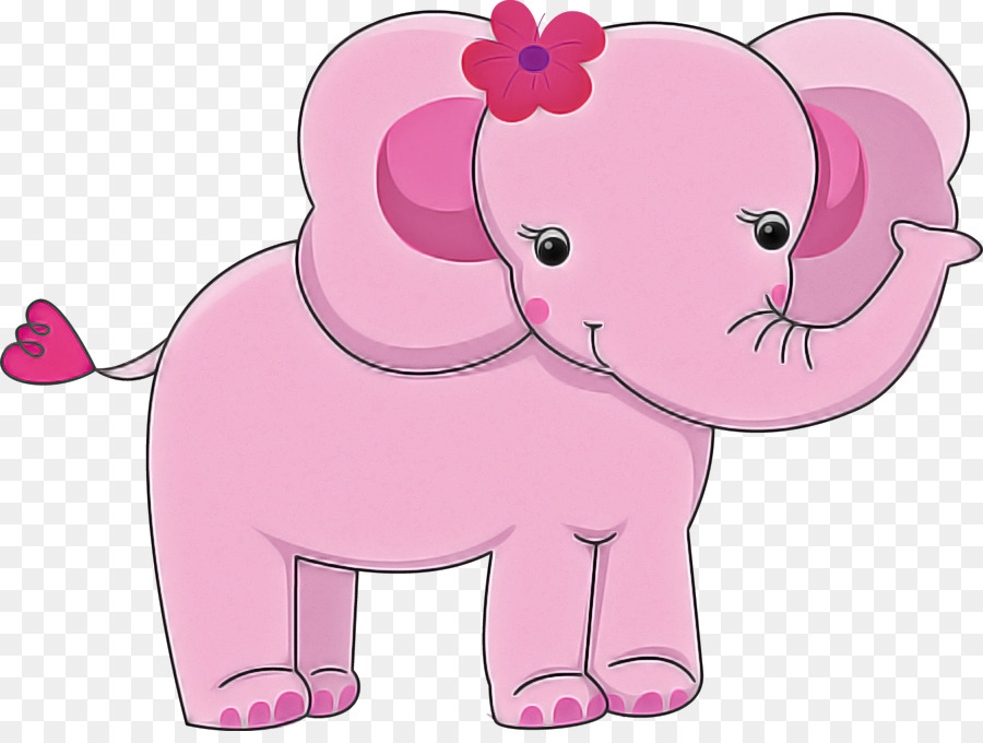 Elefante，Rosa PNG