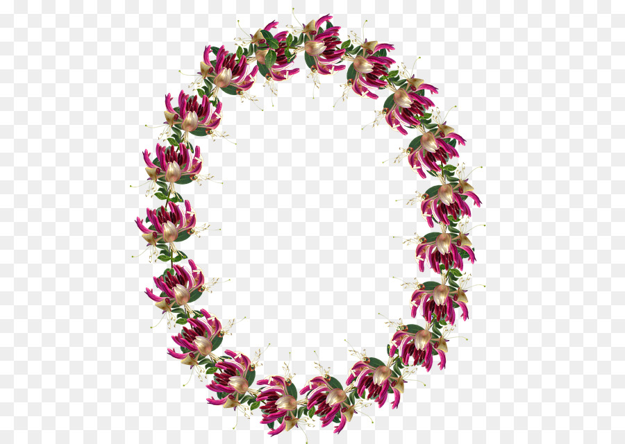 Lei，Rosa PNG