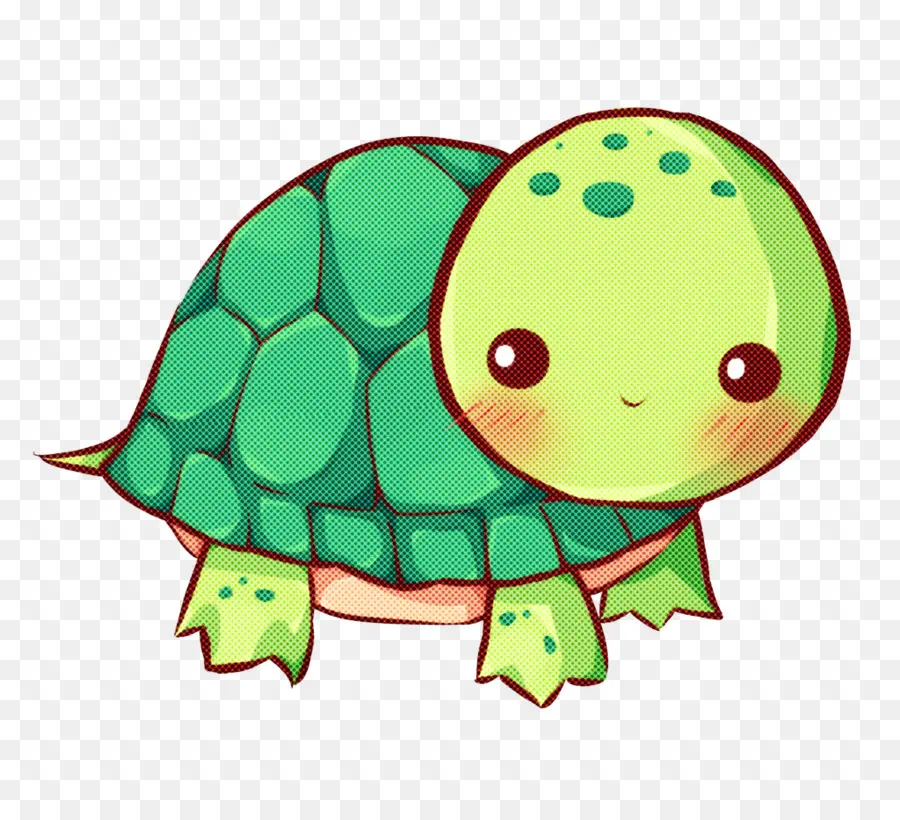 Verde，Tortuga PNG